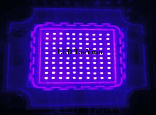 UV LED Lamp 395nm 100W